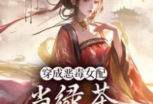 穿成恶毒女配,当绿茶这么有趣?无弹窗乔挽颜最新章节列表-筷子文学