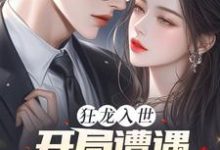 狂龙入世,开局遭遇绝色未婚妻(苏逸沈清月)完结版免费阅读-筷子文学