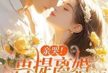 亲哭!再提离婚,霍总彻底失控了精彩章节阅读(苏暖霍云琛)免费阅读大结局-筷子文学