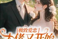 主角是季染傅京渊的小说极致爱恋,大佬又开始攻心了在哪免费看-筷子文学