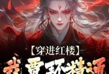 贾环小说免费阅读最新章节列表，穿进红楼，我贾环精通朝堂争斗小说在线看-筷子文学
