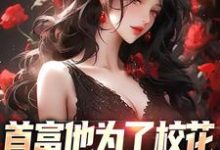 跪求主角是沈译李幼衣的小说书名叫什么-筷子文学