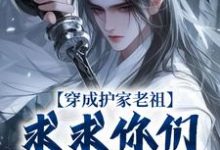 穿成护家老祖,求求你们积点德吧精彩章节阅读(秦禾柳青元)免费阅读大结局-筷子文学