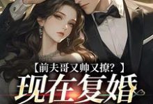 前夫哥又帅又撩？现在复婚来得及吗最新章节前夫哥又帅又撩？现在复婚来得及吗在线阅读-筷子文学