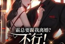 覃笙最新章节霸总要跟我离婚?不行!我身无分文免费阅读-筷子文学