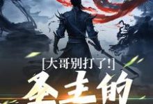 大哥别打了!圣主的心都碎了(陈寻)最新章节免费在线阅读-筷子文学