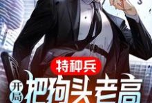 跪求主角是宋染的小说书名叫什么-筷子文学