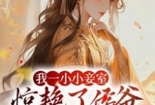 我一小小妾室,惊艳了侯爷很合理吧精彩章节在线免费阅读(叶青芷谢晋)-筷子文学