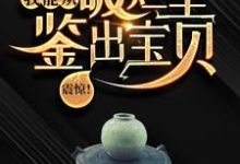震惊!我能从破烂里鉴出宝贝!(陆飞)完结版免费阅读-筷子文学