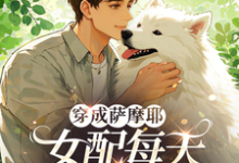 跪求主角是苏瑶的小说书名叫什么-筷子文学