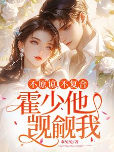 不原谅，不复合，霍少他觊觎我精彩章节阅读(苏眠)免费阅读大结局