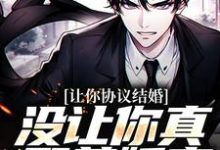 跪求主角是苏浔楚攸雨的小说书名叫什么-筷子文学