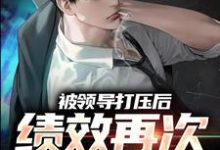被领导打压后,绩效再次被清零!小说最新章节在哪里可以免费看-筷子文学