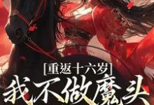 重返十六岁,我不做魔头改修仙了(晏琅)最新章节免费阅读-筷子文学