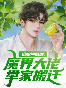 觉醒神格后，魔界大佬举家搬迁热门小说(陈念)在线阅读无弹窗