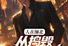 主人公是韩潇的小说人在缅北，从捣毁科技园开始免费阅读-筷子文学