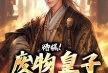 糟糕！废物皇子他觉醒了免费阅读(徐元南宫璃)小说免费读最新章节-筷子文学
