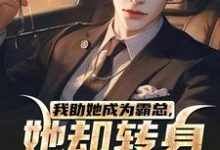完结版我助她成为霸总,她却转身不要我了在哪免费看,陆寒楚若烟小说在线阅读-筷子文学