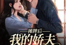 摊牌后,我的娇夫变小弟(南烟傅靳司)完结版免费阅读-筷子文学