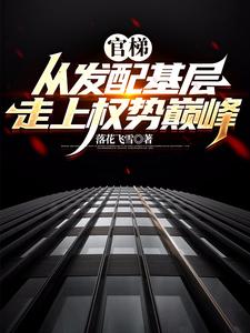 主角是杨飞方婷的小说官梯：从发配基层走上权势巅峰在哪免费看