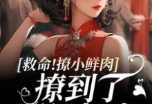救命!撩小鲜肉撩到了顶级权贵!无弹窗李善最新章节列表-筷子文学