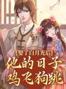 娶了白月光后，他的日子鸡飞狗跳（盛栖月萧玉衡）最新章节在线阅读