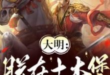 朱祁镇在线阅读，大明：朕在土木堡杀疯了小说完结版章节-筷子文学
