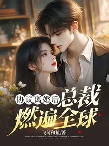 协议离婚后，总裁燃遍全球小说资源求分享，协议离婚后，总裁燃遍全球林深在线阅读