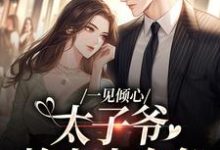 一见倾心:太子爷赖上小白兔热门小说(唐筱宁宋璟)在线阅读无弹窗-筷子文学