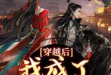 小说穿越后，我成了草原神医主角林嘉言察哈尔免费阅读-筷子文学