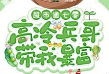 苏悦在线阅读，超市通七零：高冷兵哥带我暴富小说完结版章节-筷子文学