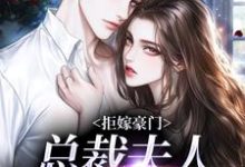 拒嫁豪门,总裁夫人带球跑(时今棠萧京野)最新章节免费阅读-筷子文学