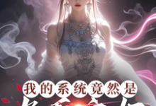 我的系统竟然是九天玄女热门小说(叶沐枫)在线阅读无弹窗-筷子文学