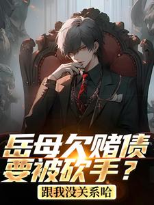 岳母欠赌债要被砍手？跟我没关系哈完结版林凡免费阅读大结局