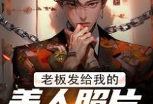 老板发给我的美人照片是老板娘（林江宇）最新章节在线阅读-筷子文学