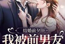 薄寒深曲南枝最新章节结婚前夕,我被前男友带走了免费阅读-筷子文学