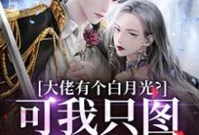 姜书禾靳珩小说免费阅读最新章节列表,大佬有个白月光?可我只图他钱包啊小说在线看-筷子文学