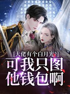 姜书禾靳珩小说免费阅读最新章节列表，大佬有个白月光？可我只图他钱包啊小说在线看