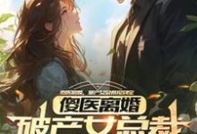 主角是杨路年兮兮的小说傻医离婚，破产女总裁捡到宝在哪免费看-筷子文学