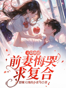 天降倒追，前妻悔哭求复合（李沐风）完结版免费阅读
