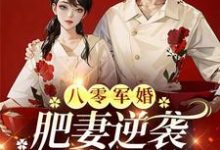 周琳琳严屹辰最新章节八零军婚,肥妻逆袭又飒又软免费阅读-筷子文学