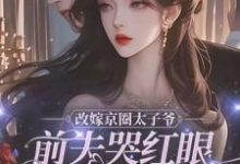 主人公是林江宇的小说改嫁京圈太子爷，前夫哭红眼求我别嫁免费阅读-筷子文学