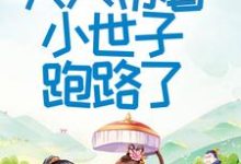 跪求主角是程颂安崔元卿的小说书名叫什么-筷子文学