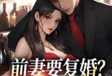 赵青峰白晓星小说免费阅读最新章节列表，前妻要复婚？我让她跪着滚小说在线看-筷子文学