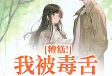 糟糕!我被毒舌霸总缠上了(迟笙沈京洲)最新章节免费阅读-筷子文学