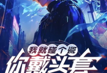 我就碰个瓷，你戴头套什么意思？大结局，陆泽赵勇小说无广告阅读-筷子文学