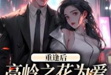 主人公是付闻洲程又青的小说重逢后，高岭之花为爱变身追妻狂魔免费阅读-筷子文学