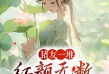 猪友一堆,红颜无数,这叫年少有为无弹窗裴双郑子林最新章节列表-筷子文学