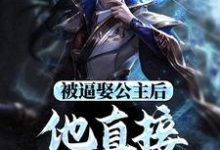 被逼娶公主后,他直接坐了皇位小说最新章节在哪里可以免费看-筷子文学