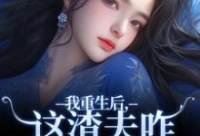 我重生后，这渣夫咋还换人格了免费阅读(林菀宁)小说免费读最新章节-筷子文学